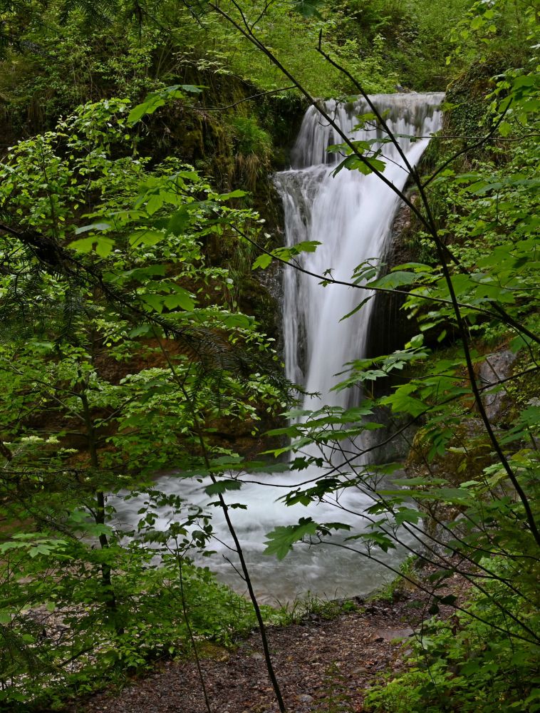 10 102 FCRJWettbewerb 2023 Ernst Irene